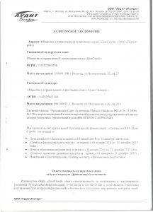 Аудиторское заключение 2015 год 1 стр